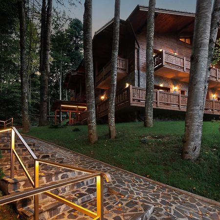 Chalet Royal Sinaia Luaran gambar